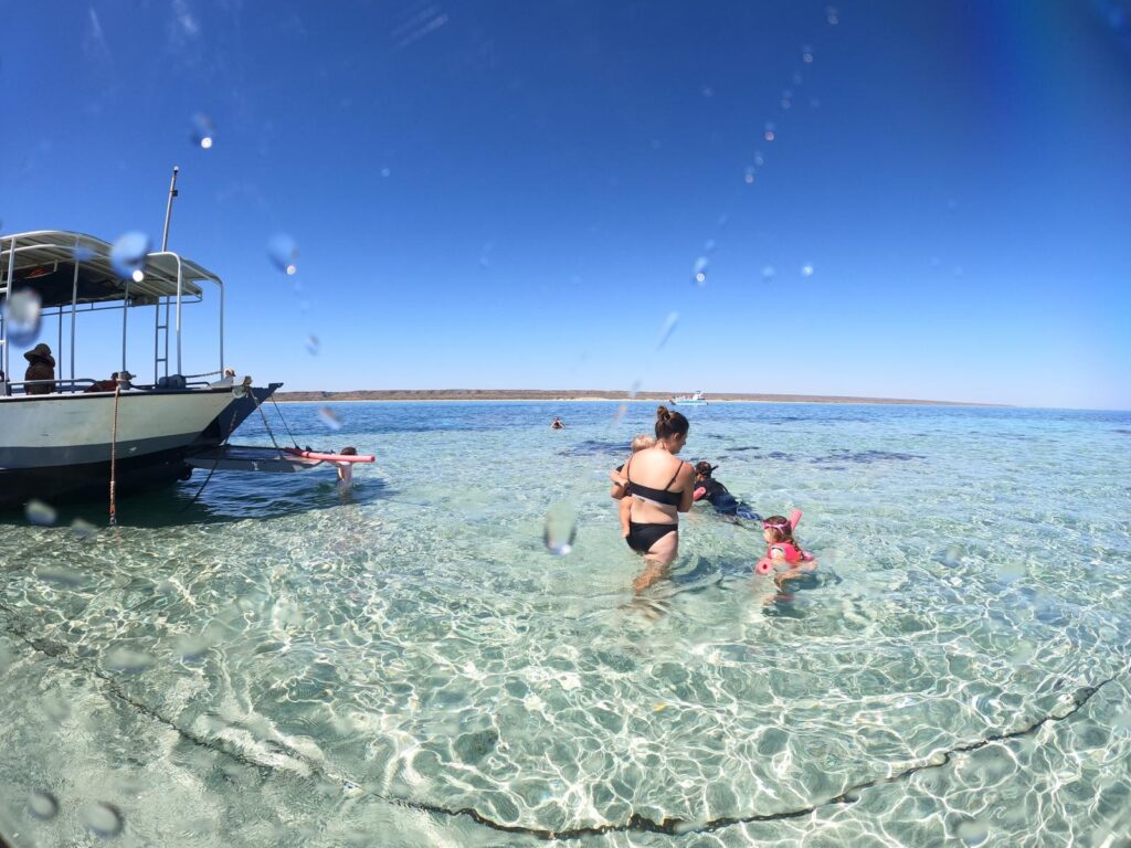 Snorkelling in Exmouth on the Ningaloo Reef from a Glass Bottomed Boat