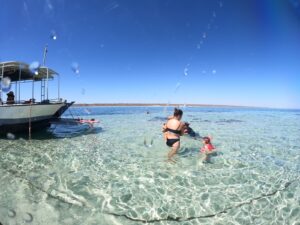 Snorkelling in Exmouth on the Ningaloo Reef from a Glass Bottomed Boat